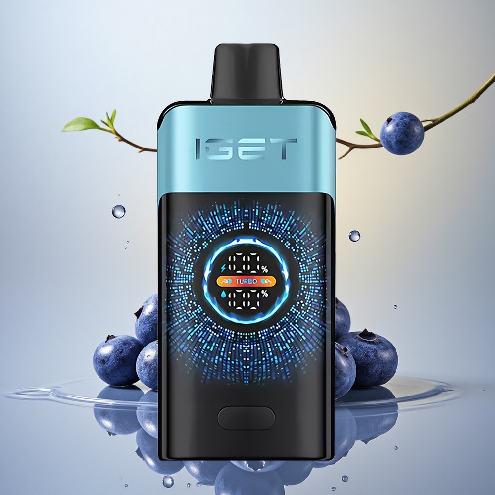 IGET ONE 12000 Puffs Borova Ledeneva 2700 mAh Dual Mesh