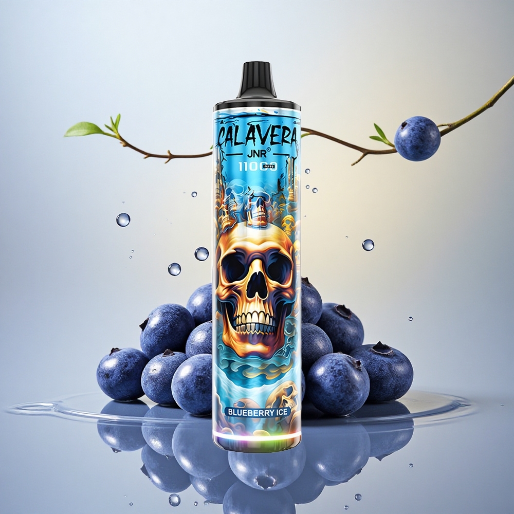 JNR Calavera 11000 Borova Led 850mAh 21ml 0% nikotina