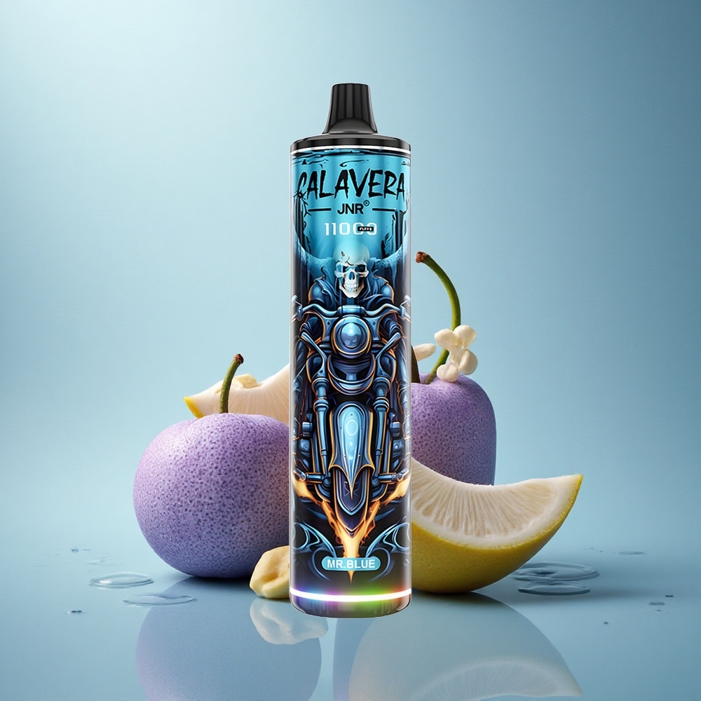 JNR Calavera 11000 Gospod Modri Tip-C 850mAh 21ml