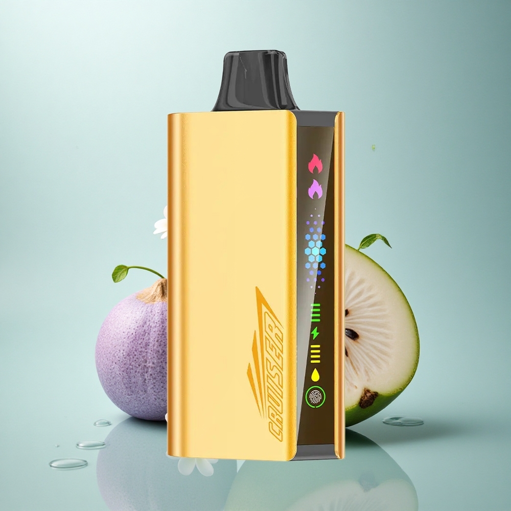 JNR Cruiser 12000 Hladna Meta Aluminijasto Telo 3500mAh