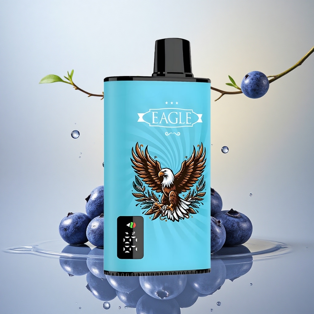 JNR EAGLE Smart 23000 Borova Ledena z 25ml tekočine in 2 % nikotina