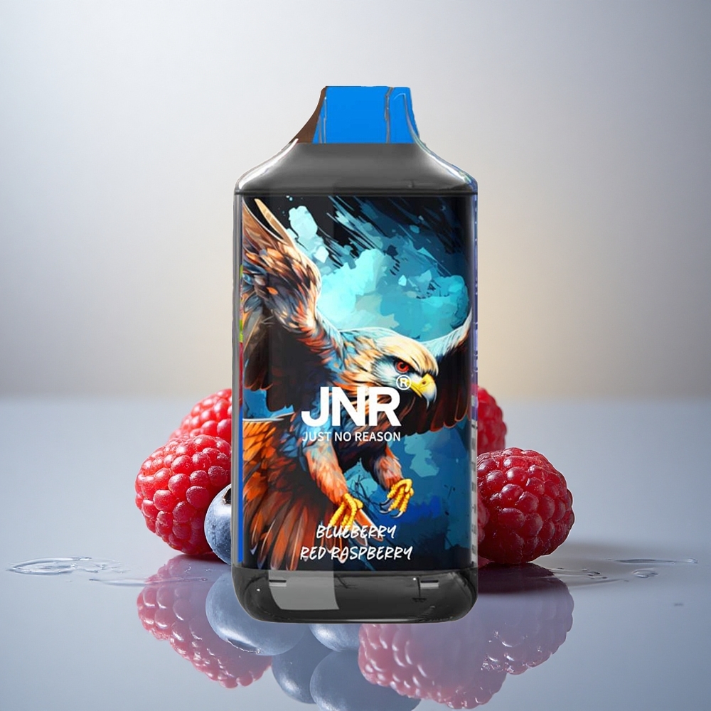 JNR Falcon 16000 Borova Malina z 850 mAh in 0%,2% nikotina