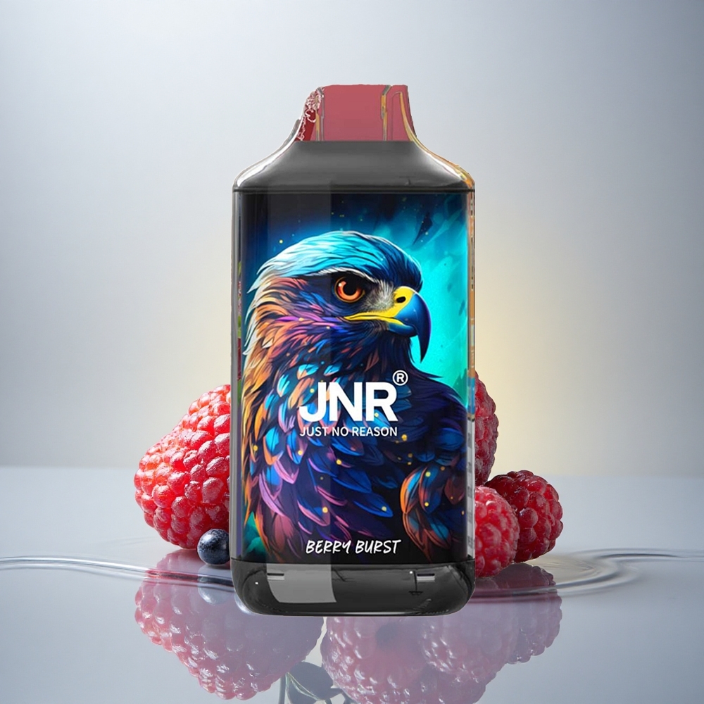 JNR Falcon 16000 Jagodni Prasak z 850 mAh in 22ml E-tekočine