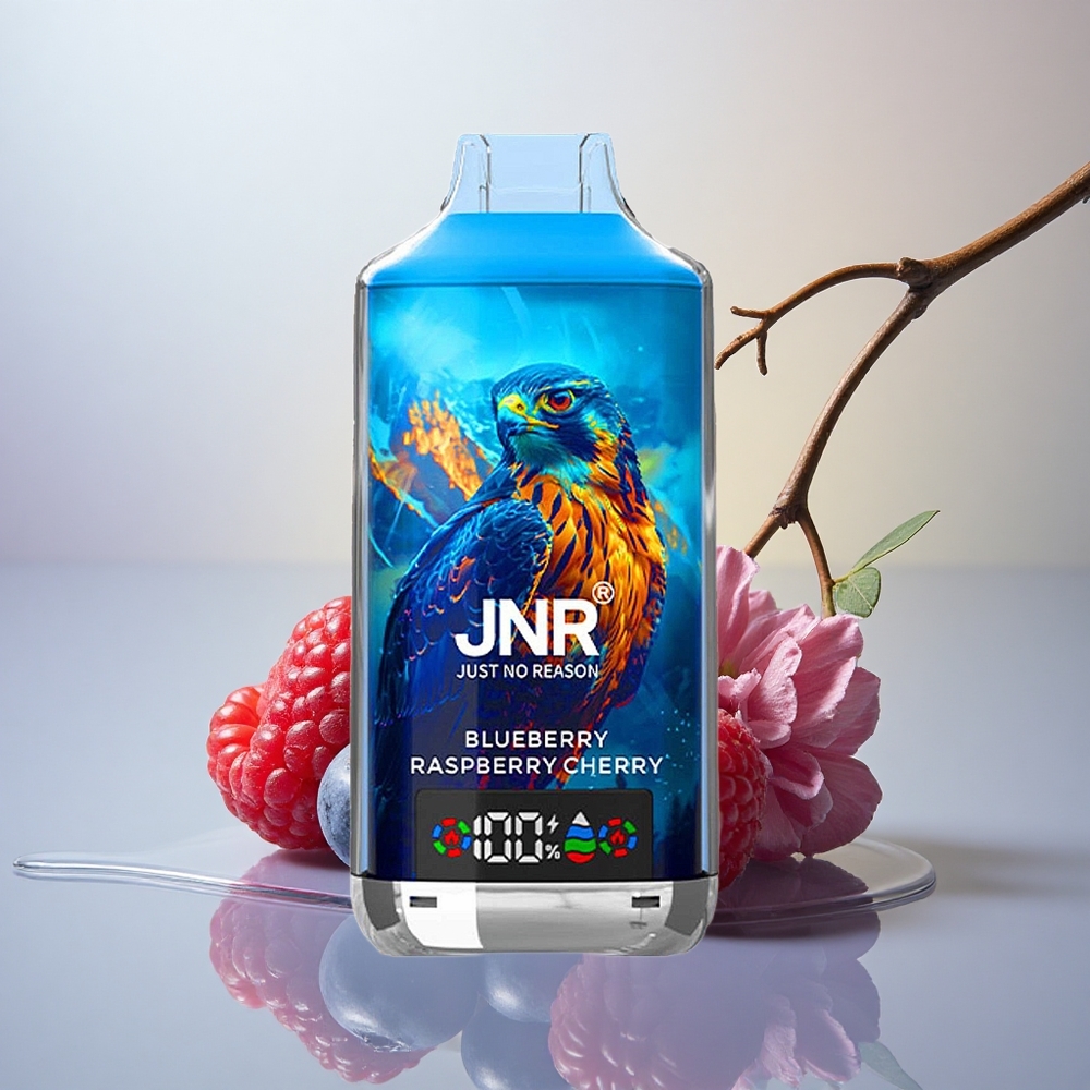 JNR Falcon X 18000 Borova Malina Češnja Digitalni Zaslon Dual Mesh Coil 750mAh