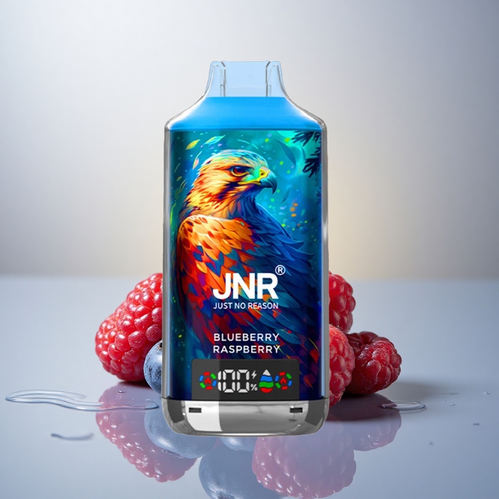 JNR Falcon X 18000 Borovnica Malina Dual Mesh Coil Digital Display 750mAh