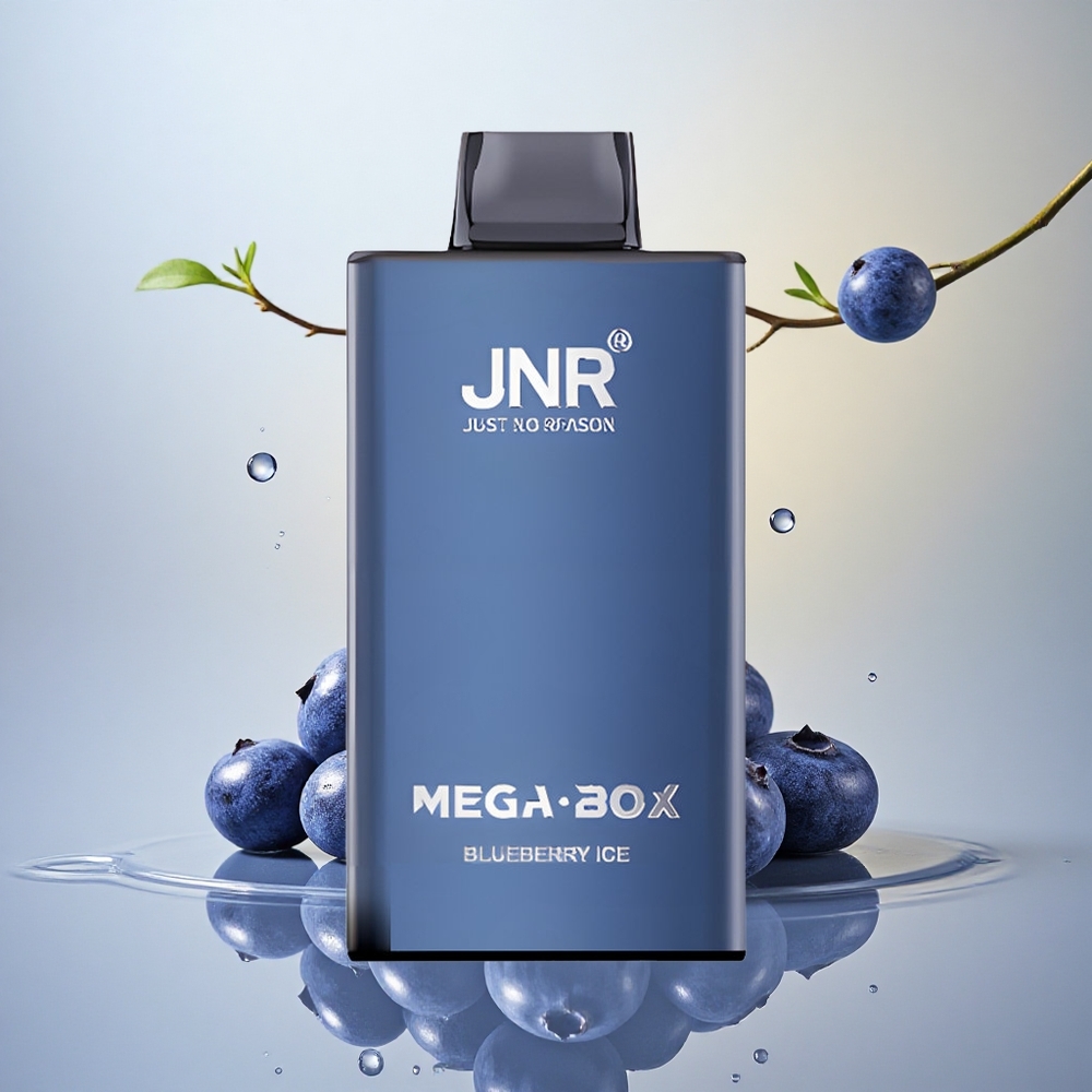 JNR Mega Box 25000 Borova Ledina z 2 % nikotina in 850 mAh