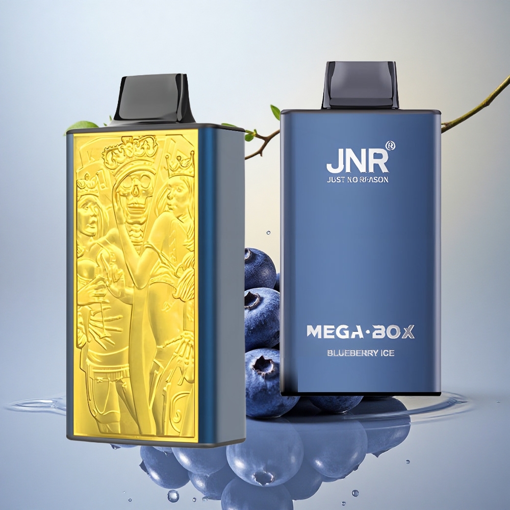 JNR Mega Box 25000 Borova Ledina z 2 % nikotina in 850 mAh