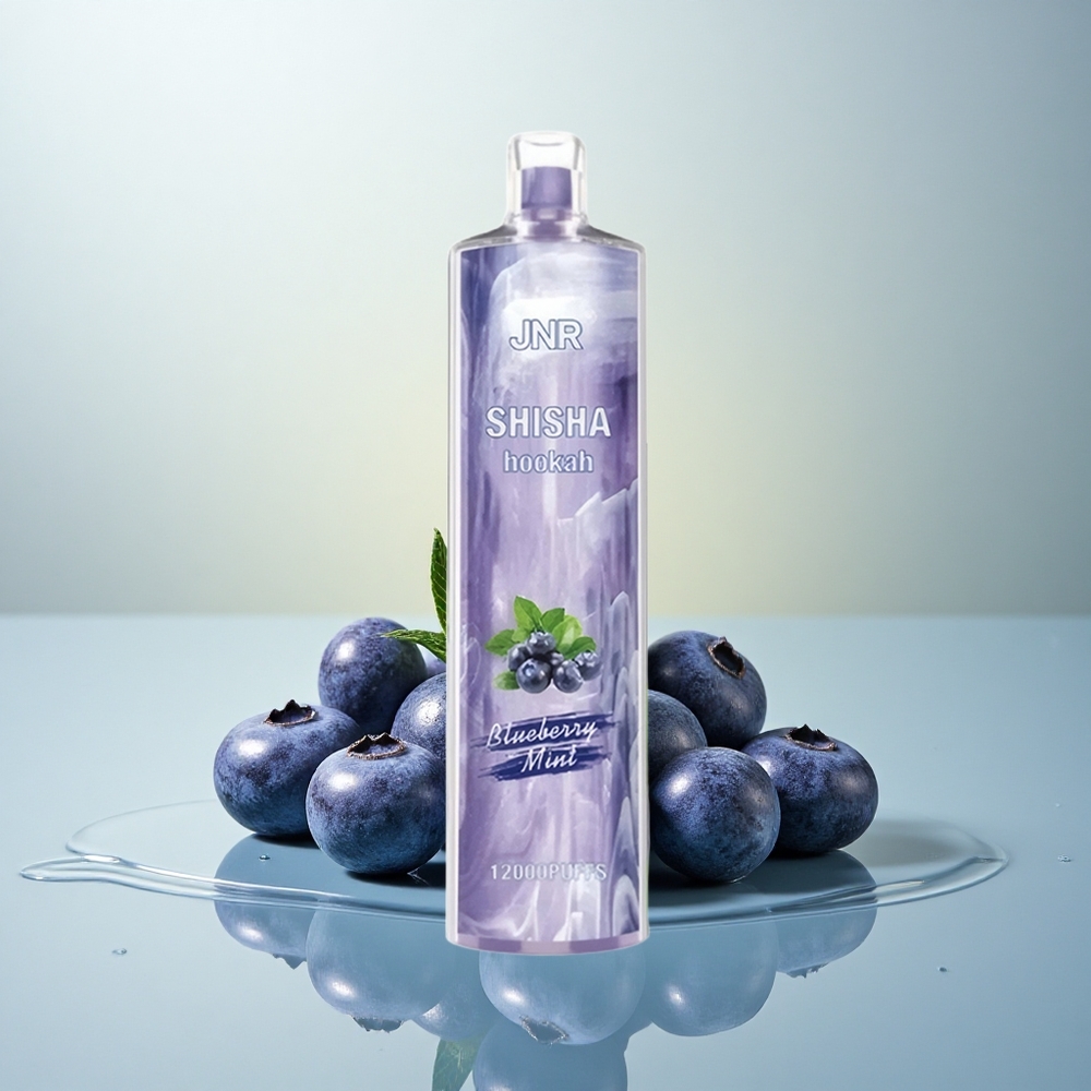 JNR Shisha Hookah 12000 Borova Meta z 750mAh in 0,6 Ohm Mesh Tuljavo