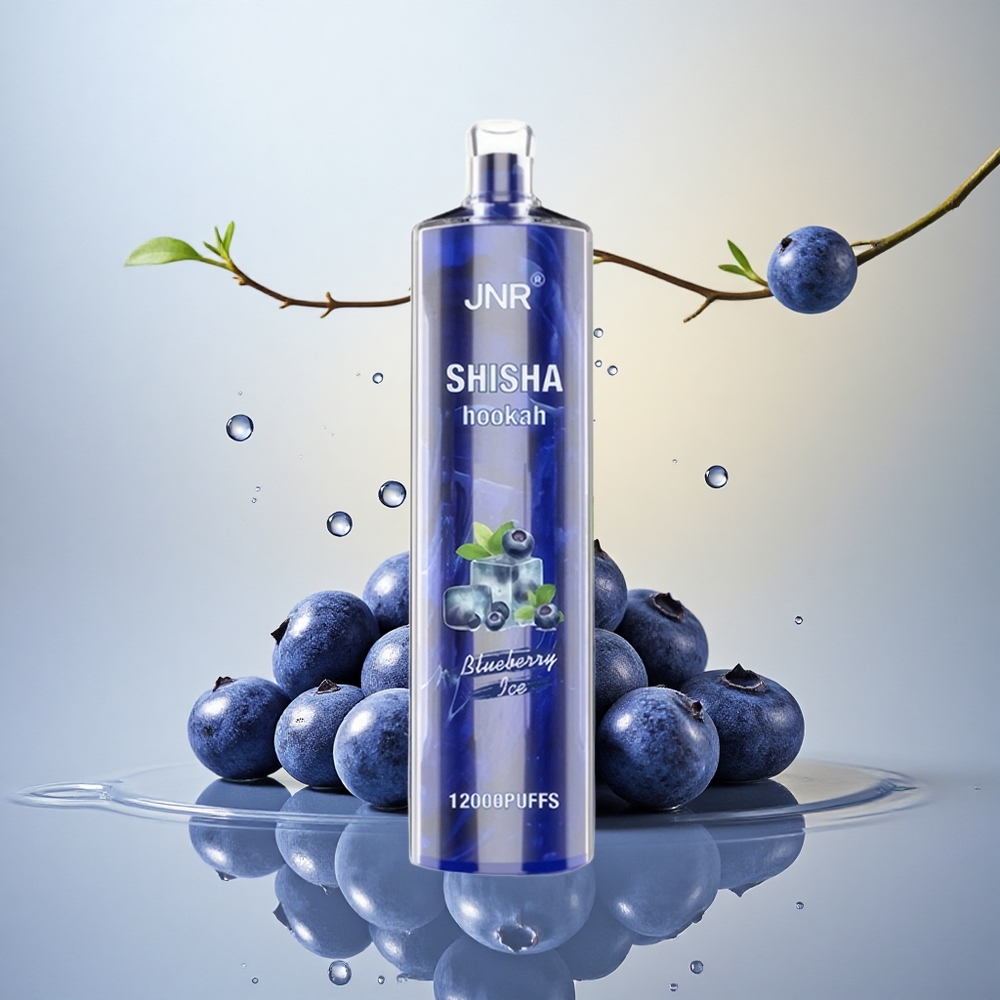 JNR Shisha Hookah 12000 Borovični Led 750mAh 24ml