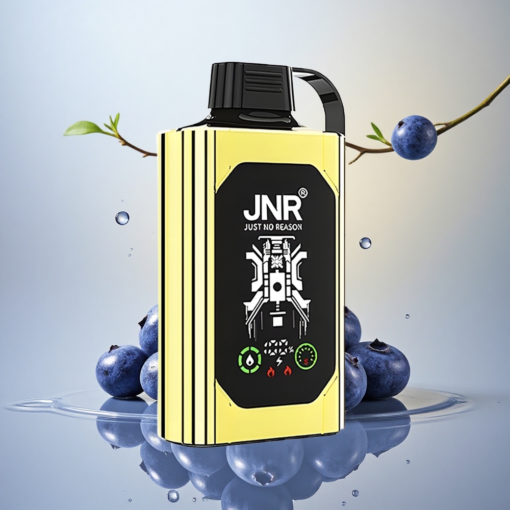 JNR Shisha Hookah Box 20500 Borova Ledena 1000mAh 5% nikotina