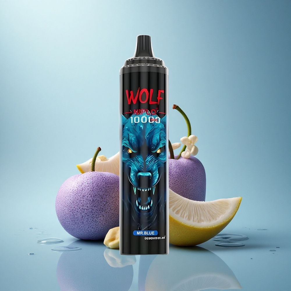 JNR Wolf Niplo 10000 Gospod Modri 20ml 650mAh Tip-C hitro polnjenje