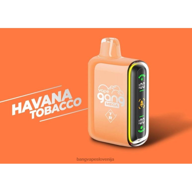 havana tobak